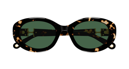 Chloé CH0323SK Havana/Green 889652602714