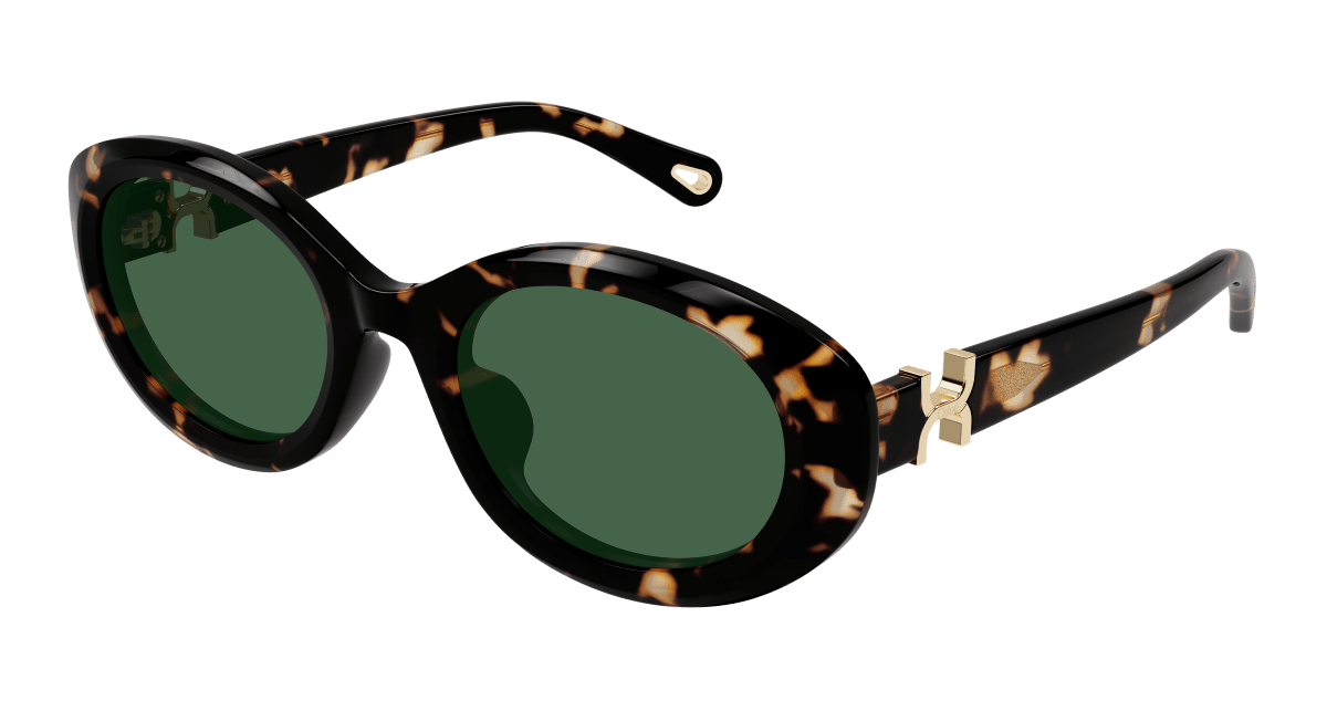 Chloé CH0323SK Havana/Green 889652602714