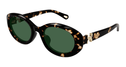 Chloé CH0323SK Havana/Green 889652602714