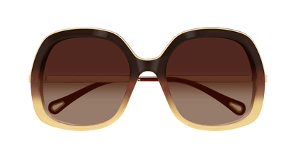 Chloé CH0327S Brown 889652601335