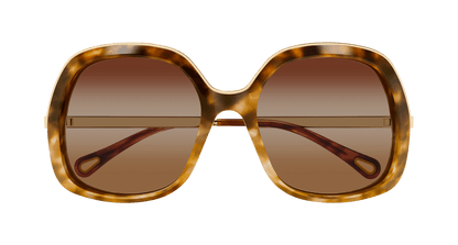 Chloé CH0327S Havana/Brown 889652601298