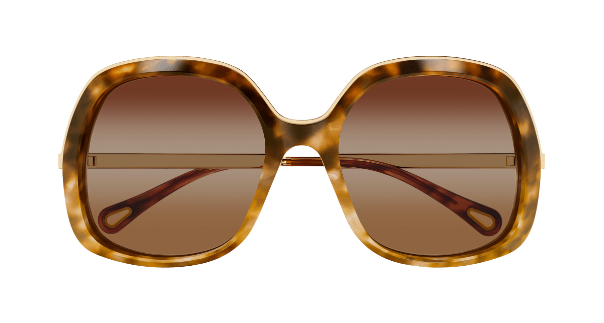 Chloé CH0327S Havana/Brown 889652601298
