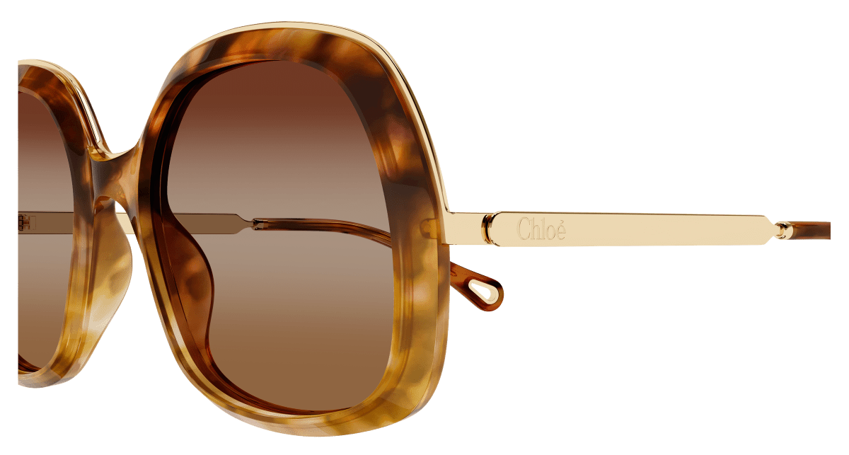 Chloé CH0327S Havana/Brown 889652601298