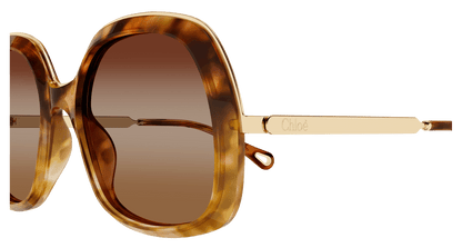 Chloé CH0327S Havana/Brown 889652601298