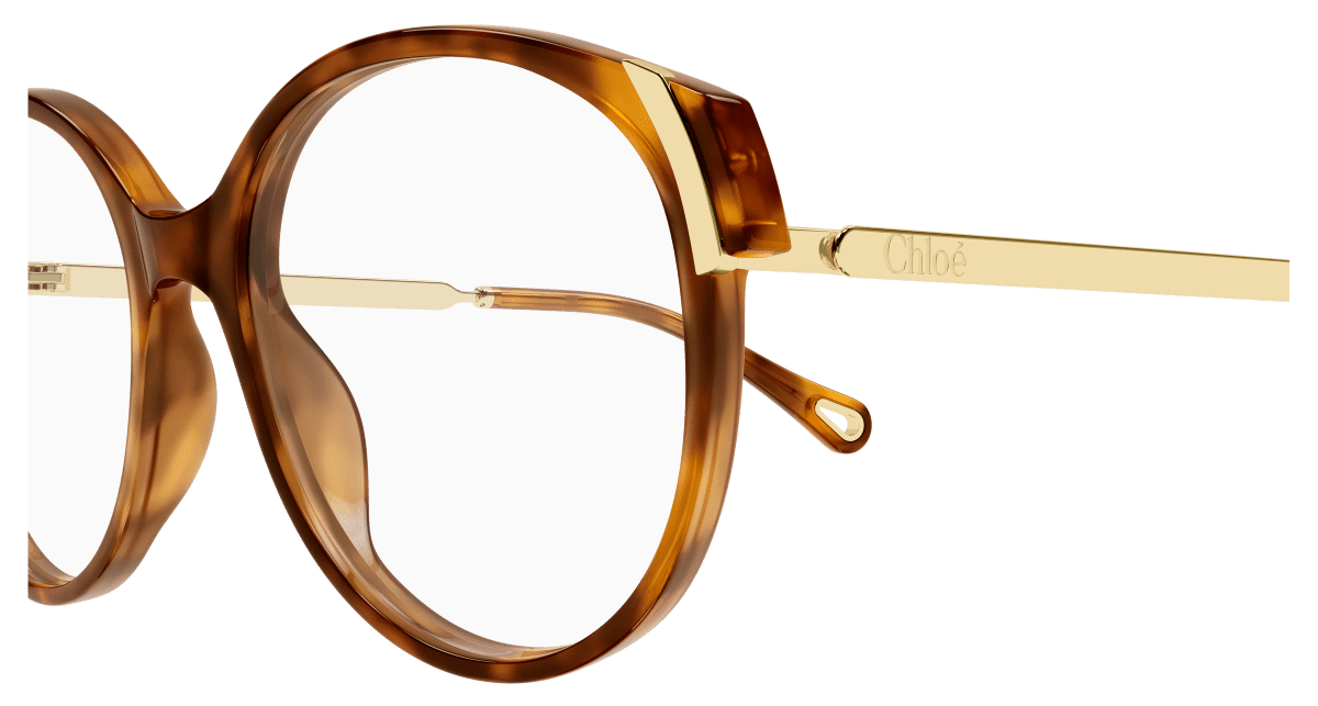 Chloé CH0328O Havana, 54mm 889652601656