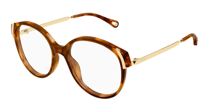 Chloé CH0328O Havana, 54mm 889652601656