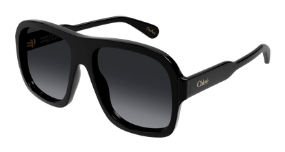 Chloe CH0331S Sunglasses 889652599762