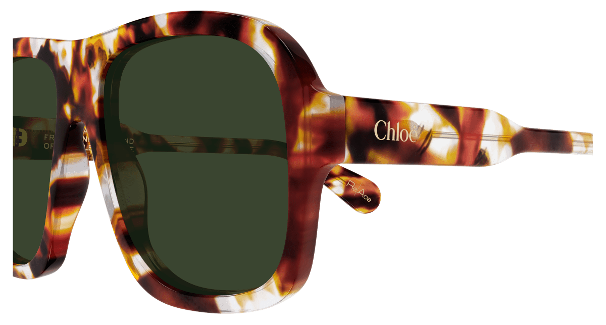 Chloe CH0331S Sunglasses 889652599793