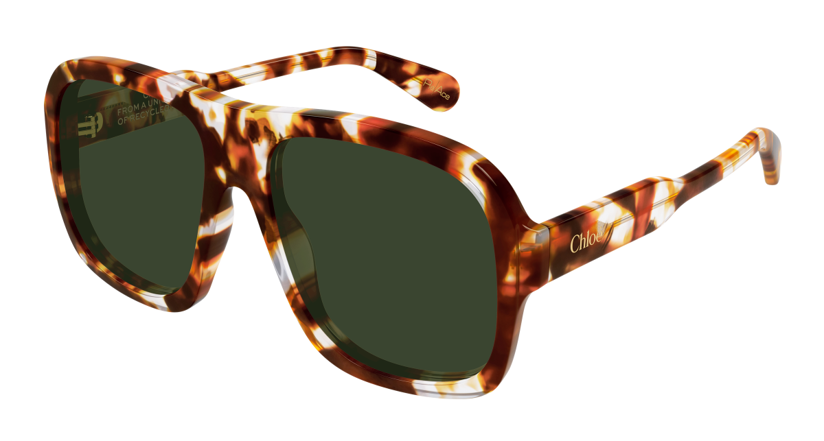 Chloé CH0331S Havana/Green 889652599793