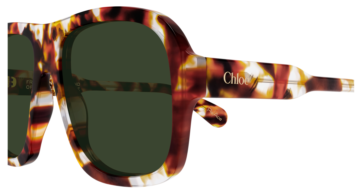 Chloé CH0331S Havana/Green 889652599793