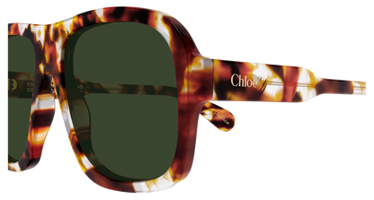 Chloé CH0331S Havana/Green 889652599793