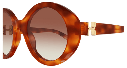 Chloé CH0332S Havana/Brown 889652601830