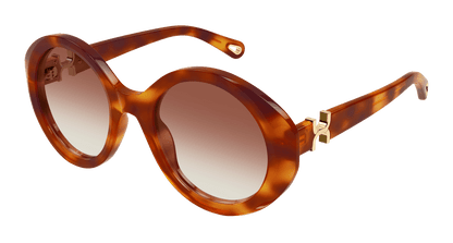 Chloé CH0332S Havana/Brown 889652601830