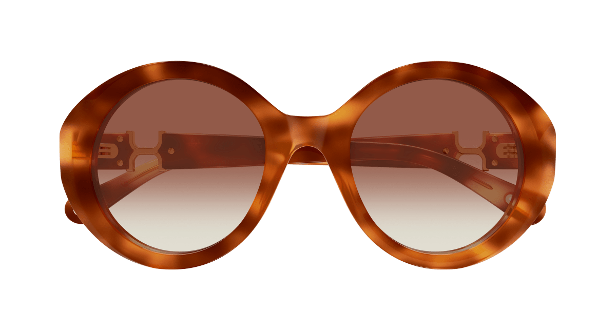 Chloé CH0332S Havana/Brown 889652601830