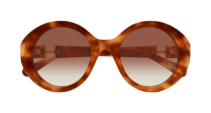 Chloé CH0332S Havana/Brown 889652601830