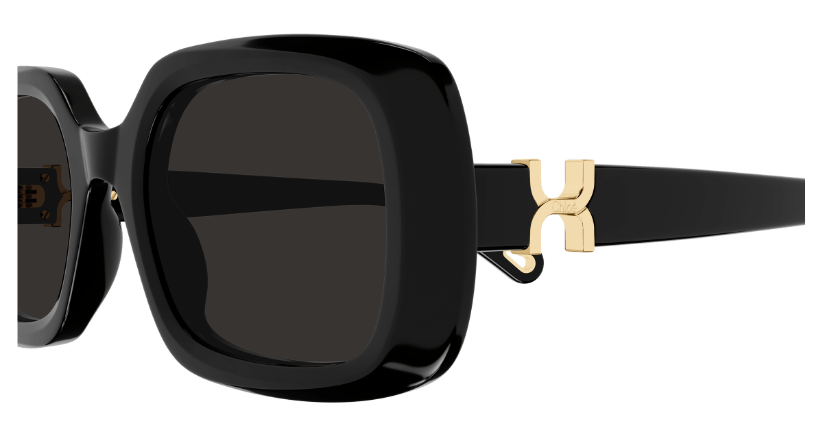Chloé CH0333S Black/Grey 889652601717