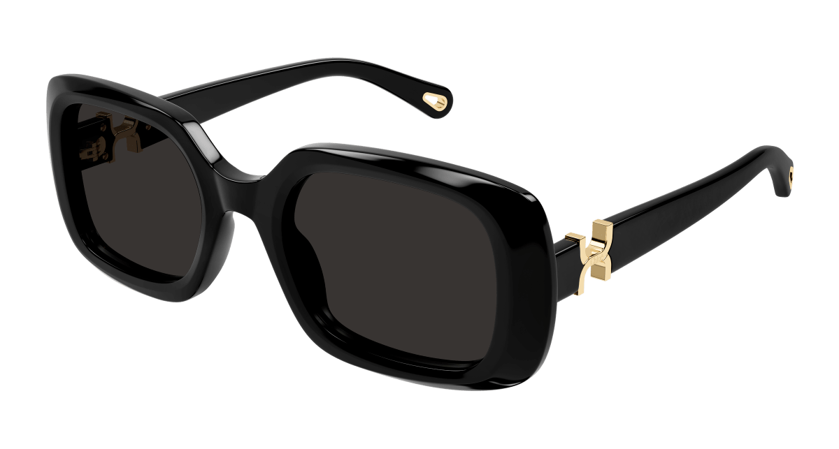 Chloé CH0333S Black/Grey 889652601717