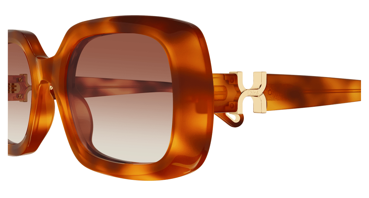 Chloé CH0333S Havana/Brown 889652601762