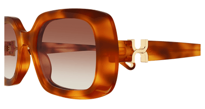 Chloé CH0333S Havana/Brown 889652601762