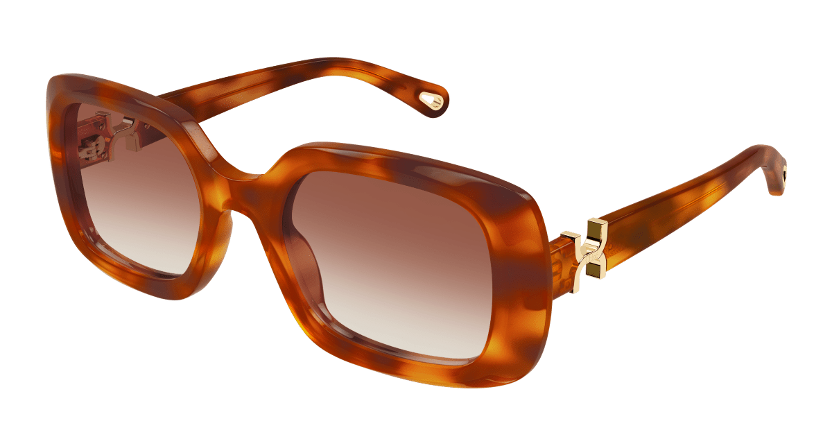 Chloé CH0333S Havana/Brown 889652601762