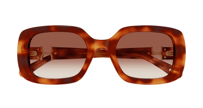 Chloé CH0333S Havana/Brown 889652601762