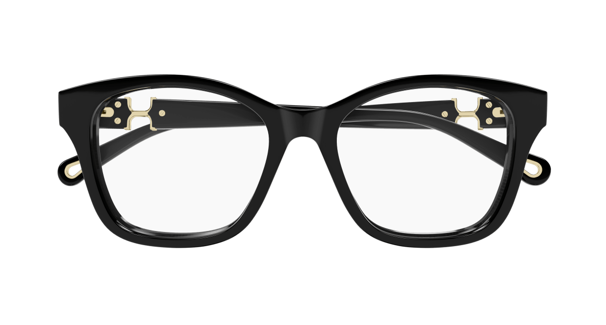Chloé CH0334O Black, 50mm 889652601748