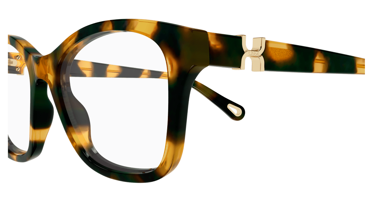 Chloé CH0334O Havana, 52mm 889652601861