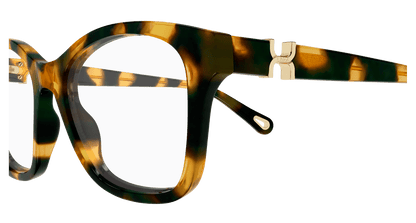 Chloé CH0334O Havana, 52mm 889652601861