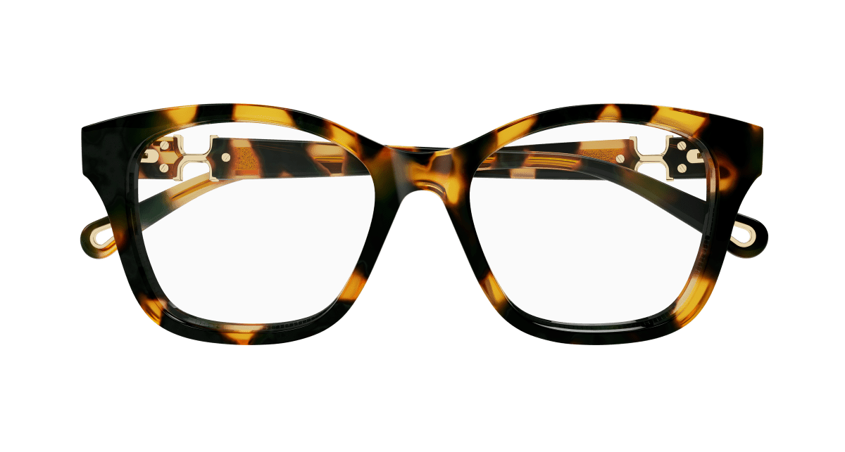 Chloé CH0334O Havana, 52mm 889652601861