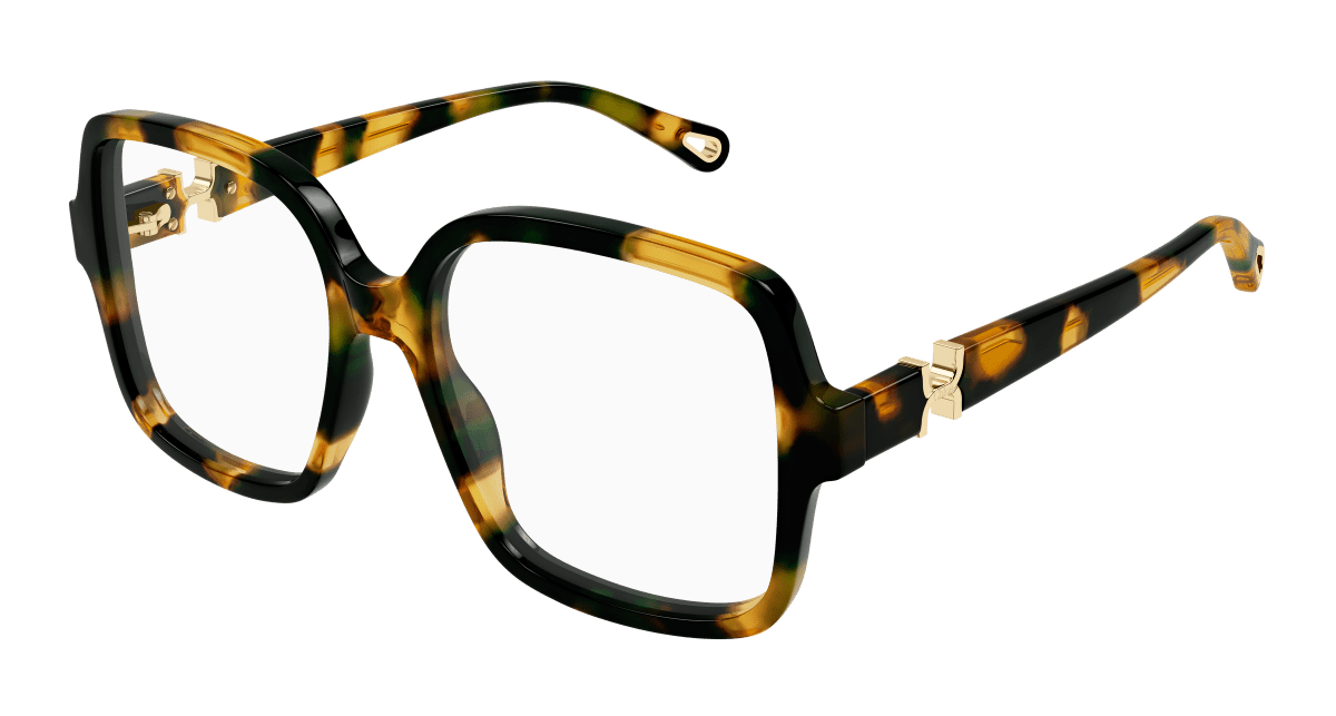 Chloé CH0335O Havana 889652601953