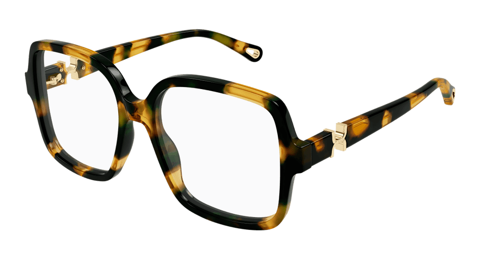 Chloé CH0335O Havana 889652601953