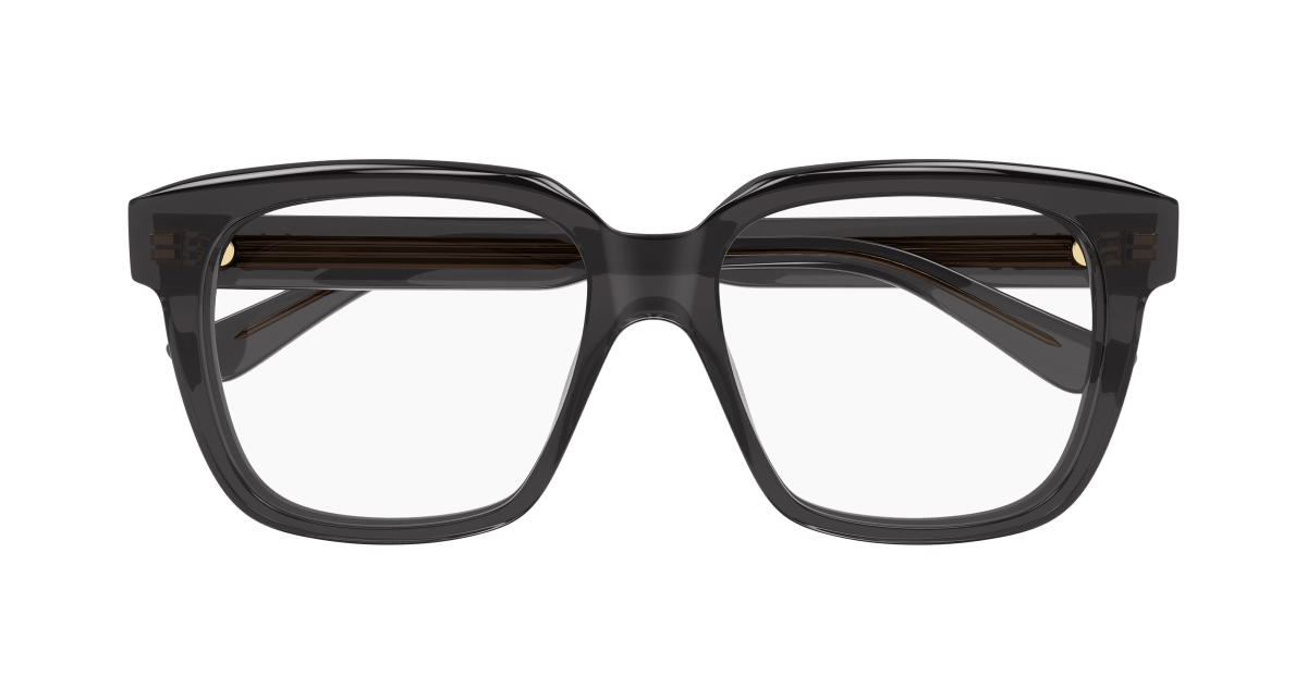 Chloé CH0340O Grey, 55mm 889652602349