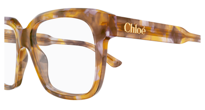 Chloé CH0340O Havana, 52mm 889652602325