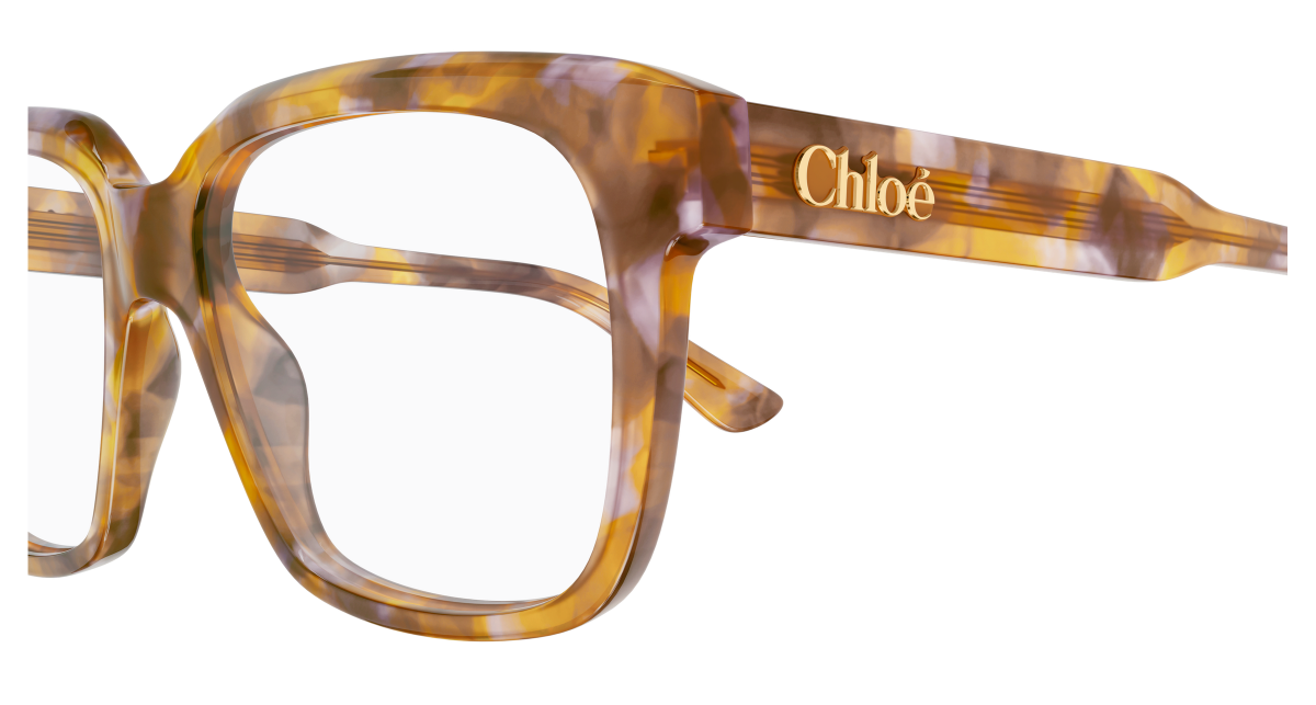 Chloé CH0340O Havana, 52mm 889652602325