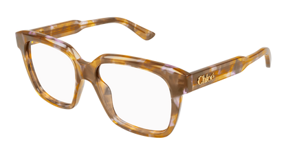 Chloé CH0340O Havana, 55mm 889652602424