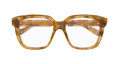 Chloé CH0340O Havana, 55mm 889652602424