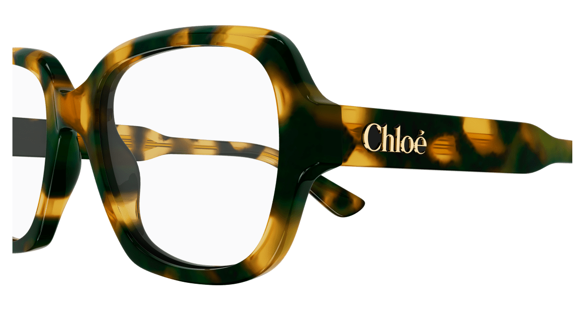 Chloé CH0341O Havana 889652602288