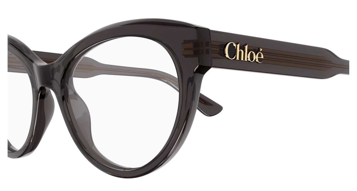 Chloé CH0342O Grey, 54mm 889652602493