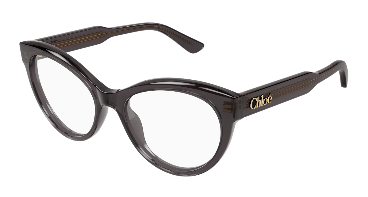 Chloé CH0342O Grey, 54mm 889652602493