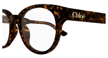 Chloé CH0343OA Havana, 52mm 889652602783
