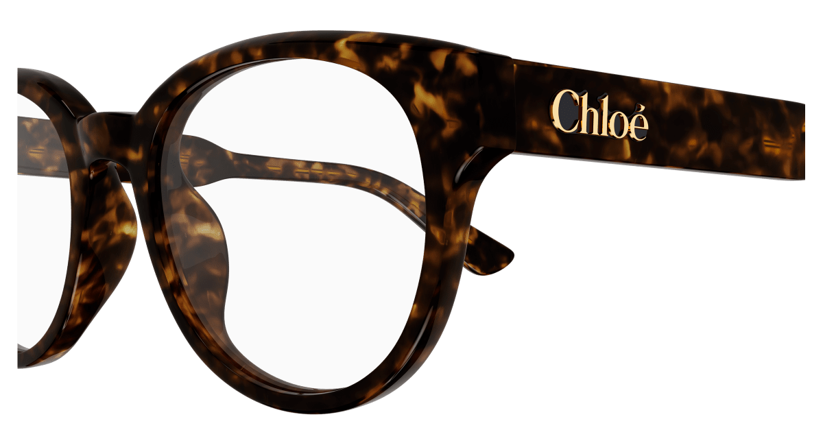 Chloé CH0343OA Havana, 52mm 889652602783