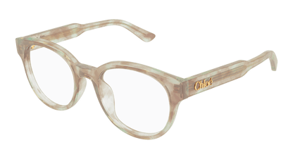 Chloé CH0343OA Havana, 52mm 889652602806