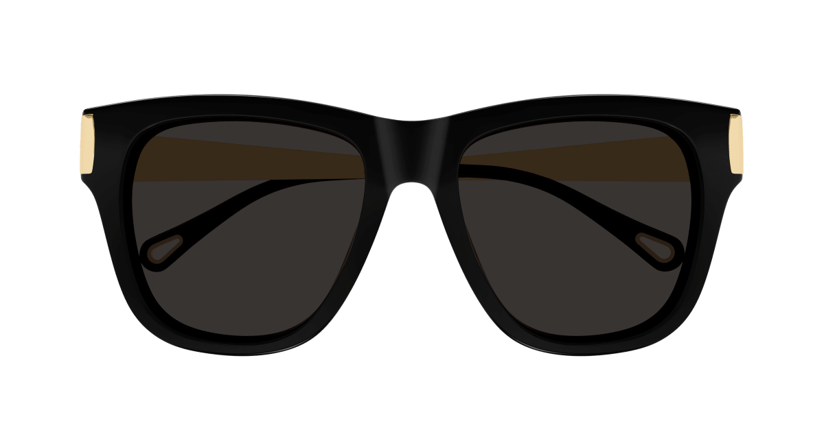 Chloé CH0349S Black 889652645865