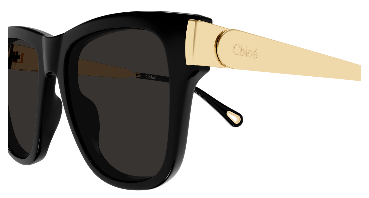 Chloé CH0349S Black 889652645865