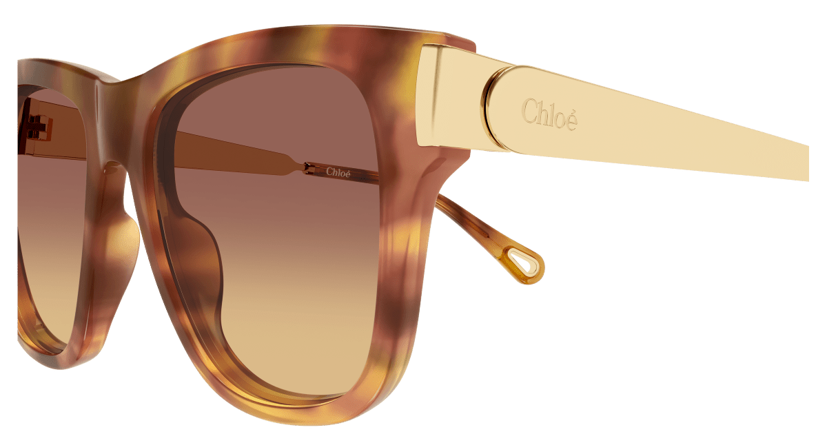 Chloé CH0349S Havana 002 889652645872