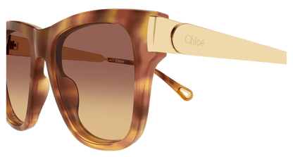 Chloé CH0349S Havana 002 889652645872