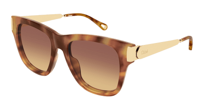 Chloé CH0349S Havana 002 889652645872