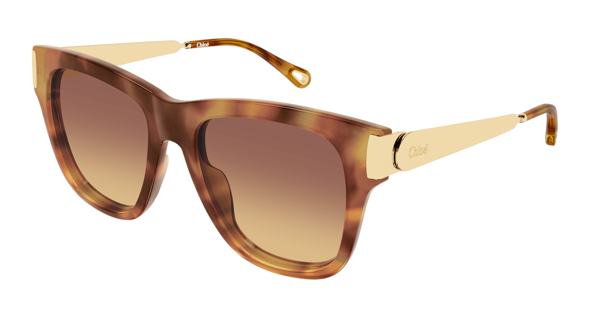 Chloé CH0349S Havana 002 889652645872