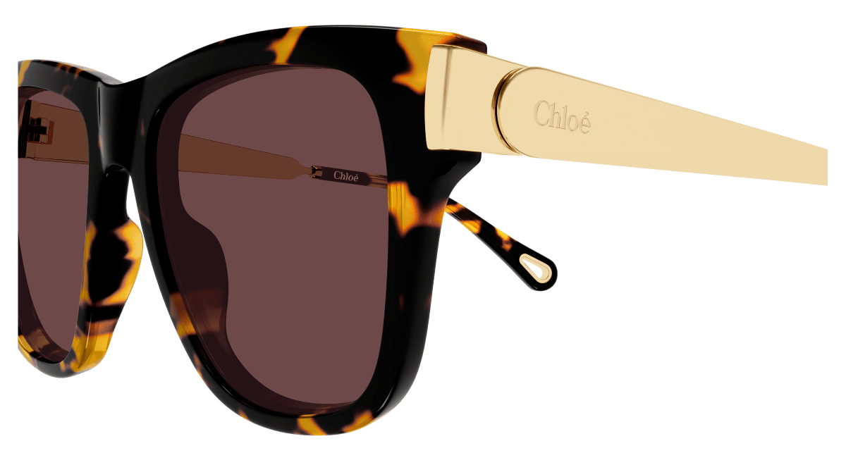 Chloé CH0349S Havana 003 889652645889