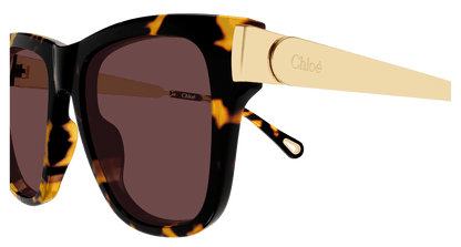 Chloé CH0349S Havana 003 889652645889
